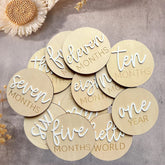 Baby Milestone Discs